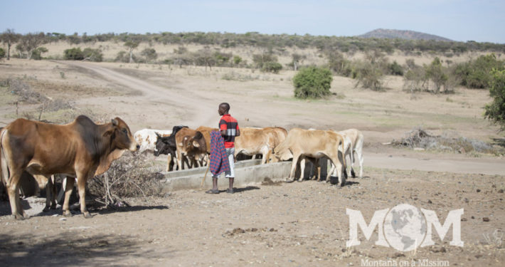 Montana on a Mission clean water development project in Kenya is complete