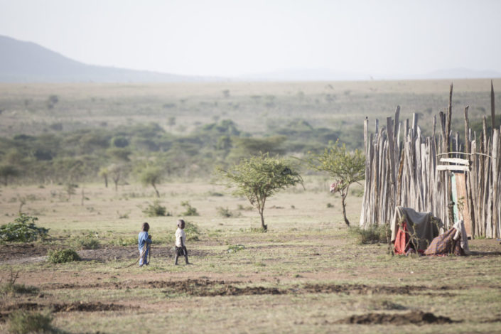 Maasai children learn herding skills early. At the age of two or three they begin to accompany their older brothers and sisters to learn to care for the livestock their family depends upon.