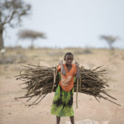Young girl start to help with the chore of collecting firewood as soon as they are strong enough to carry a bundle.
